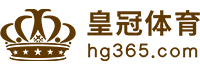 Logo 雷速体育
